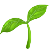 Sustainability